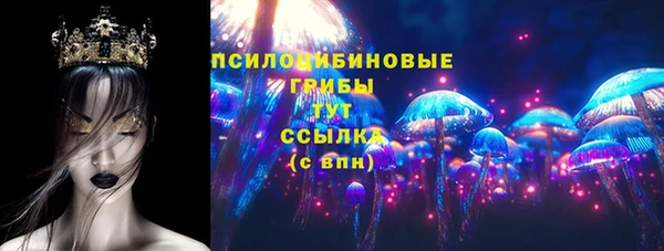 PSILOCYBIN Михайловск
