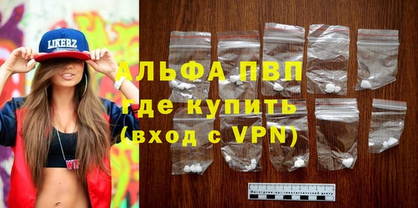 молекула духа Михайлов