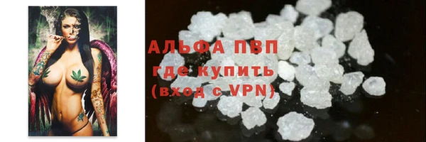 молекула духа Михайлов