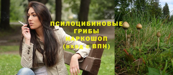 молекула духа Михайлов