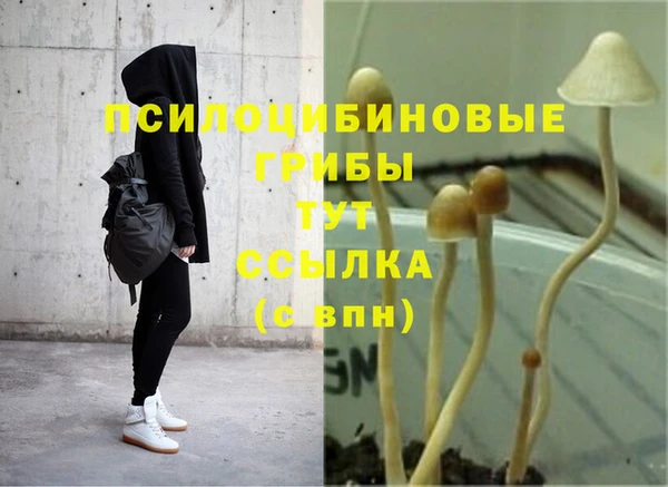 PSILOCYBIN Михайловск
